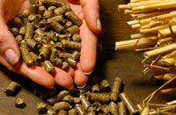 free New Ash Green biomass boiler quotes